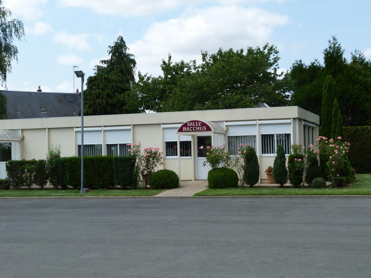 Hostellerie Du Chateau Saint-Pere-sur-Loire Exterior photo