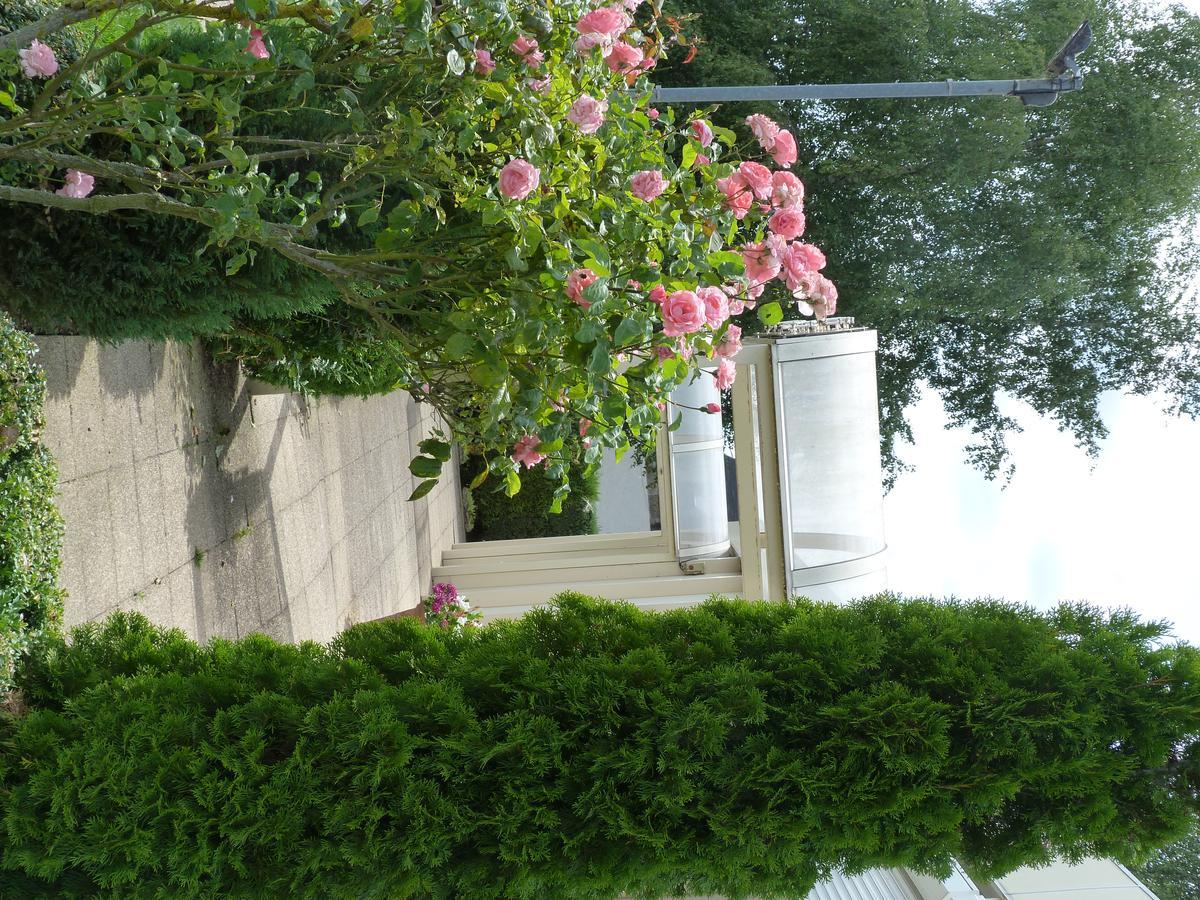 Hostellerie Du Chateau Saint-Pere-sur-Loire Exterior photo